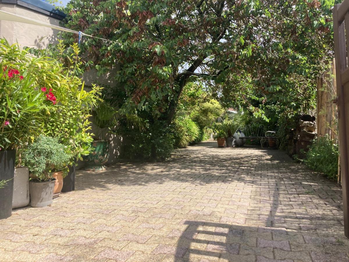 Maisonnette Studio Arcachon 300M Plage Экстерьер фото